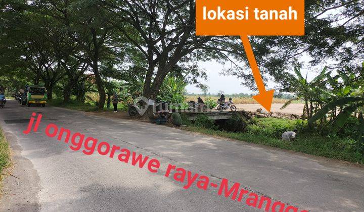 tanah bagus&murah pinggir jalan raya, cocok gudang & tempat usaha 2