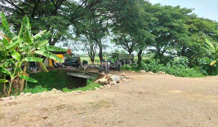 Tanah pinggir jalan raya mranggen demak,cocok untuk gudang&usaha 2