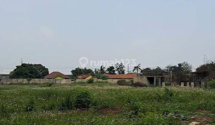 Tanah Raya Pantura Lebar Muka 170m Hadap Selatan 2