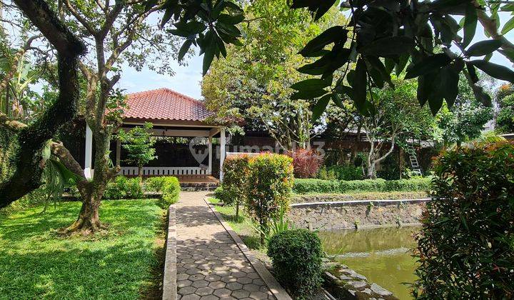 BUTUH Tanah COCOK untuk Usaha, Klinik, Sekolah, RESTO? WORKSHOP? Rumah Cluster? di BSD  1
