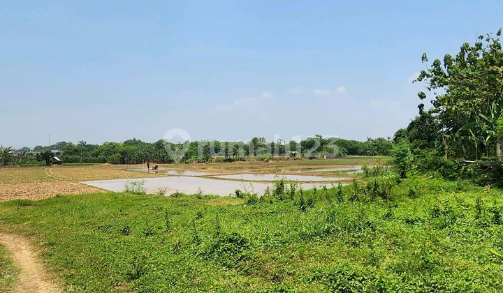 For Sale Cheap Land Next to the New Toll Road, South Cikarang, Bekasi For Sale Cheap Land Next to the New Toll Road, South Cikarang, Bekasi