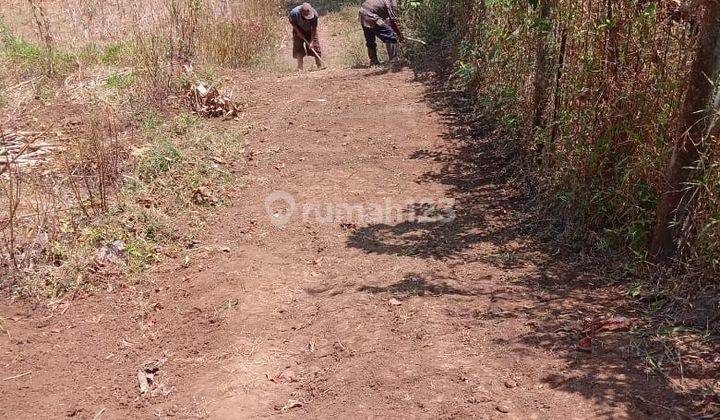 Dijual Lahan Nongkojajar Pasuruan Murah Cocok Untuk Kebun Dll 1