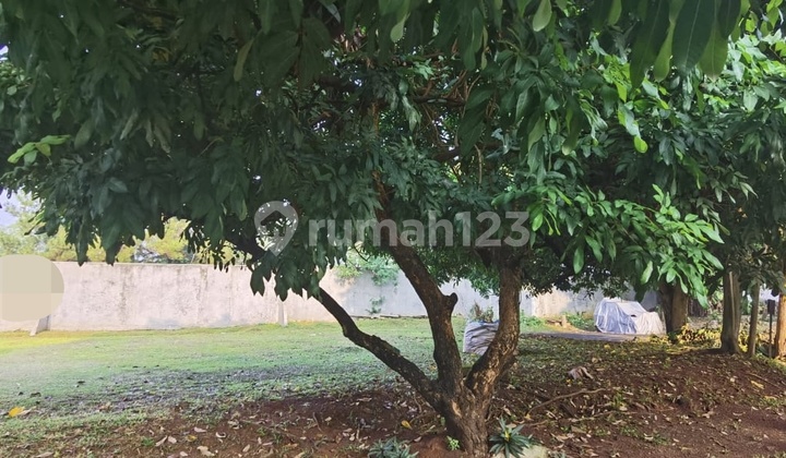 Corner Lot in Cluster at Kota Wisata Corner Lot in Cluster at Kota Wisata