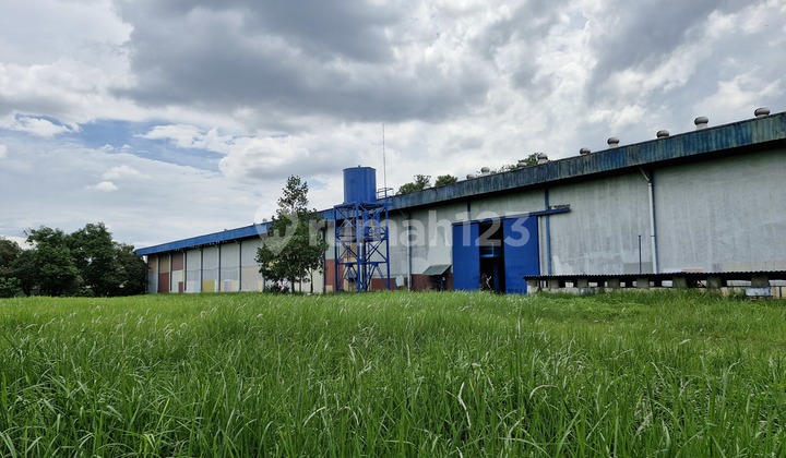 4.5 Hektar Lahan dan Pabrik di Pasir Angin Cileungsi 4.5 Hektar Lahan dan Pabrik di Pasir Angin Cileungsi