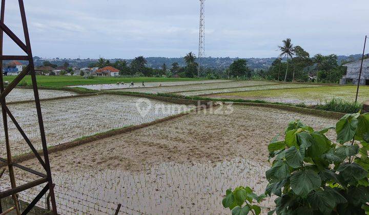 Investasi Kavling + Sawah, Bonus Rumah Villa  2