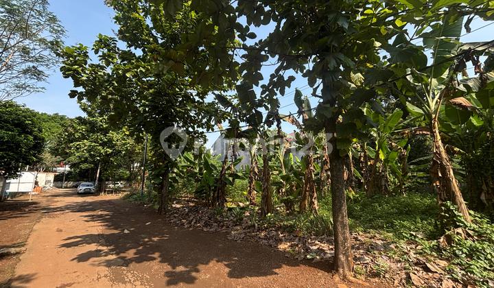 Kavling 400m2 di Kompleks DDN Cibubur Kavling 400m2 di Kompleks DDN Cibubur