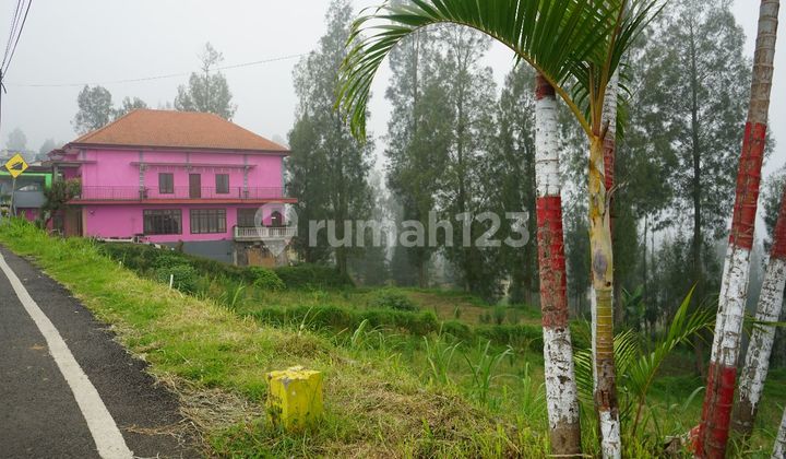 Lahan 2000 Meter di Ds Tosari Pasuruan Jatim