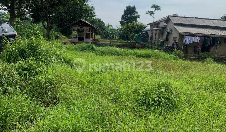 Kavling 2 Hektar Siap Bangun di Babakan Ciseeng Bogor Kavling 2 Hektar Siap Bangun di Babakan Ciseeng Bogor