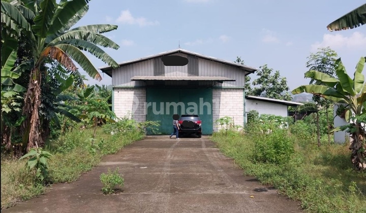 Turun Harga!! Luas 1903M2 Gudang Baru di Jl. Raya Klapa Nunggal Gn.putri, Cileungsi