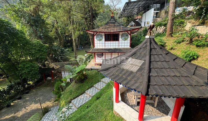 Villa Cantik Bergaya Japanese Selalu Penuh Ter, Di Perumahan Villa Di Mega Mendung Bogor Dekat Hotel Pullman Dan Dekat Ke Pintu Tol 2