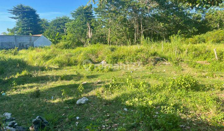 Land Kedonganan For Sale Near The Beach  1