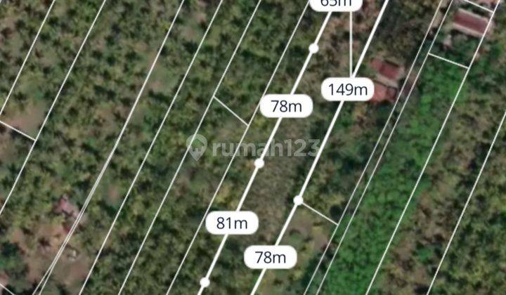 Dijual Tanah Lokasi Strategis Depan Pantai Jembrana 1