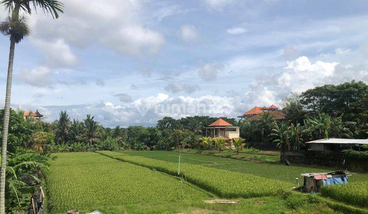 Di Sewakan Bangunan Ruko ,lokasi Strategis Di Ubud Sentral 3