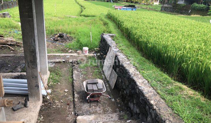 Di Sewakan Bangunan Ruko ,lokasi Strategis Di Ubud Sentral 9