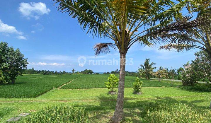 Tanah di Kedungu Tabanan 5 Menit Jalan Kaki Ke Pantai Belong 1