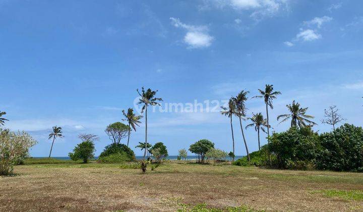 Tanah di Kedungu SHM 10 Are 5 Menit Jalan Kaki Ke Pantai Belong 2