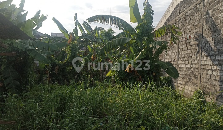 Dijual Tanah Kavling Kandangan Tangsih di Surabaya Kondisi Bagus Siap Bangun