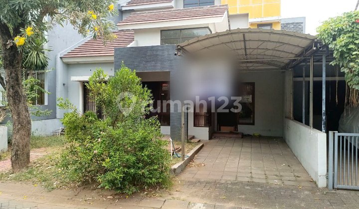 Disewakan Murah Rumah Siap Huni di Citra Garden Sidoarjo Disewakan Murah Rumah Siap Huni di Citra Garden Sidoarjo