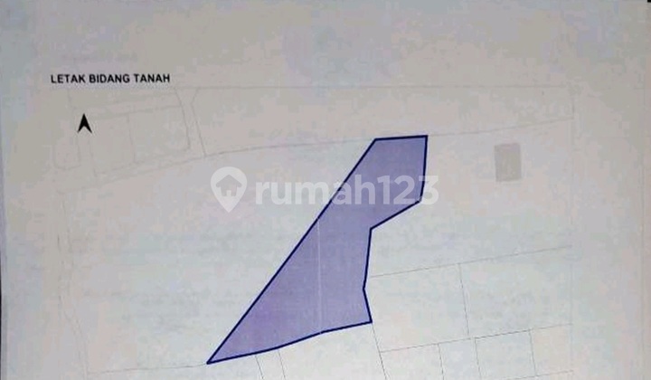 9700m2 tanah dijual -7 menit ke Pantai Pandawa 9700m2 tanah dijual -7 menit ke Pantai Pandawa