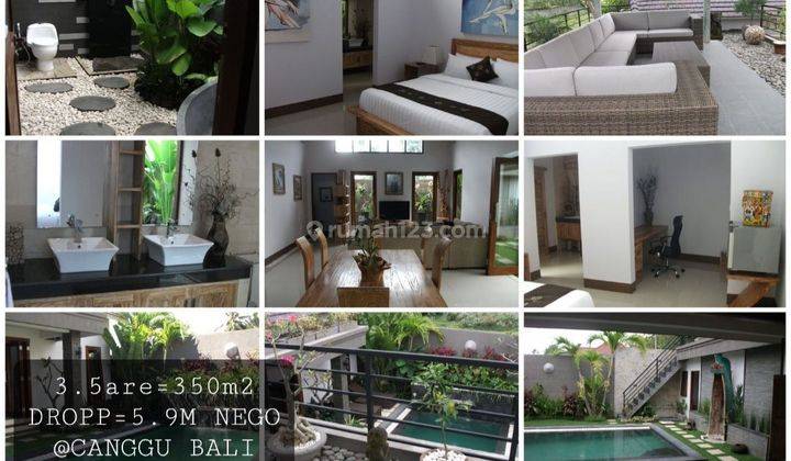 Cheapest: Villa with pool, shm in Seririt Bali 600m2, Ready to use without renovation, actively rented, 2 floors + There is also villa stock in Canggu 3.5are NEGOTIABLE. 2