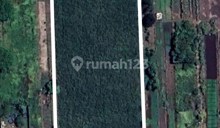 Tanah di Sukodono Turun Harga