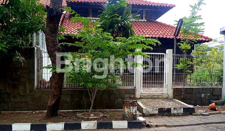 Murah Dijual Rumah Usaha Raya Darmo Baru Barat Surabaya, Cocok Untuk Klinik, Resto, Showroom, Kantor 1