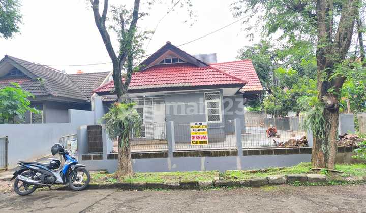 Disewa Rumah Strategis Halaman Besar Renovasi Rapih Siap Huni Griya Loka Jalan Palm Bintang BSD City Tangerang Selatan Banten