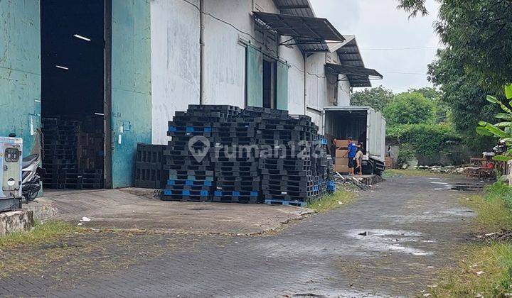 Gudang Kapuk, Dekat Pik Elang Laut, Luas 1608m 2