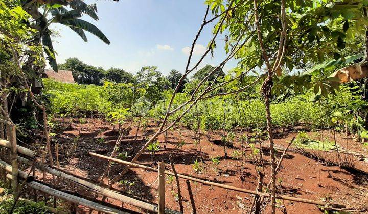 Lahan di Cileungsi Gandoang Cibubur Bogor 2