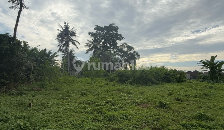 For Rent, Large Land Near Lodtunduh Main Road