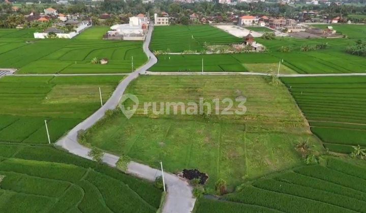 Tanah Sewa Zona Kuning Dkt Pantai Nyanyi Siap Bangun Tanah Sewa Zona Kuning Dkt Pantai Nyanyi Siap Bangun
