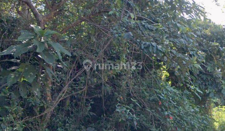 Land View Jungle In Central Ubud Suitable For Villa Rental