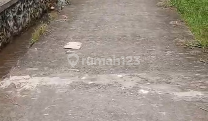 Tanah untuk Investasi Jalan Mobil View Sawah Tanah untuk Investasi Jalan Mobil View Sawah