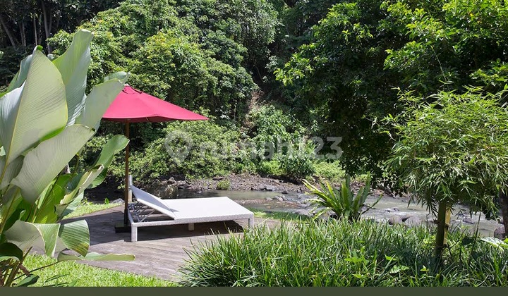 Tanah Bagus View Hutan Sungai Keren Siap Bangun Tanah Bagus View Hutan Sungai Keren Siap Bangun