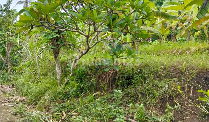 Tanah Siap Bangun Harga Murah Zona Kuning 