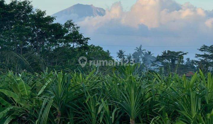 TANAH ZONA KUNING VIEW GUNUNG SAWAH KEREN COCOK VILA RENTAL 1