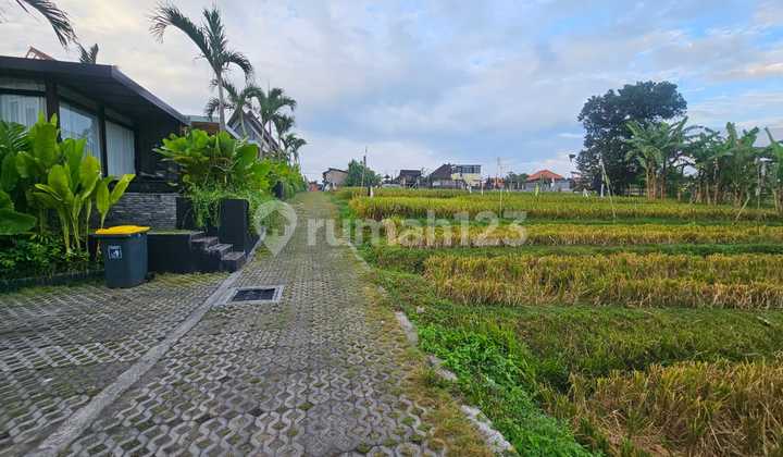 Cheap Land Lease with Rice Field View, Ideal for Villa Rentals