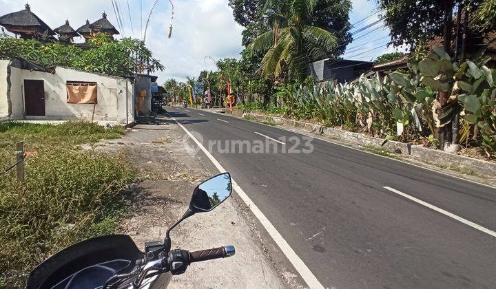 TANAH PINGGIR JALAN UTAMA COCOK BISNIS VIEW SAWAH 2