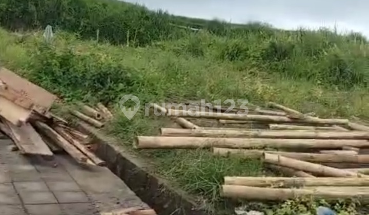 Cheap Land Price Includes Name Change Rice Field View Cheap Land Price Includes Name Change Rice Field View