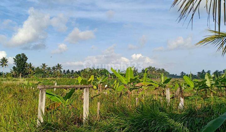 LAND FOR RENT IN THE BEDULU AREA, UBUD, GIANYAR, BALI 2