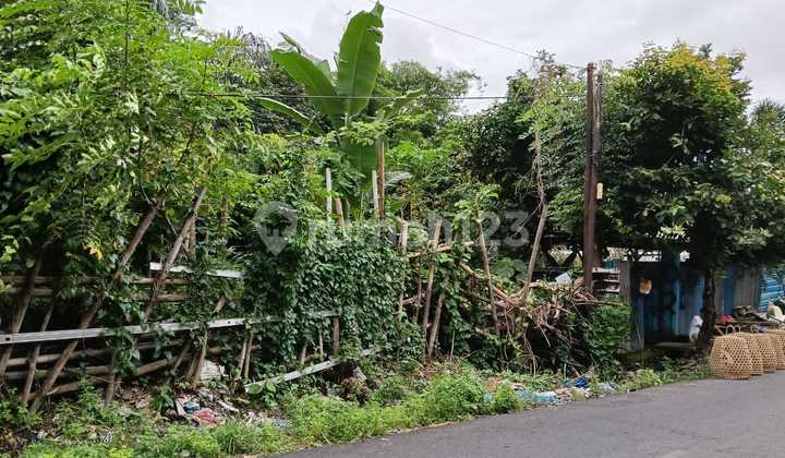 Tanah Siap Bangun Jl Bedahulu Lingkungan Bagus Tanah Siap Bangun Jl Bedahulu Lingkungan Bagus