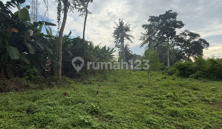 Yellow Zone Land Ready to Build Rental Villa Ubud