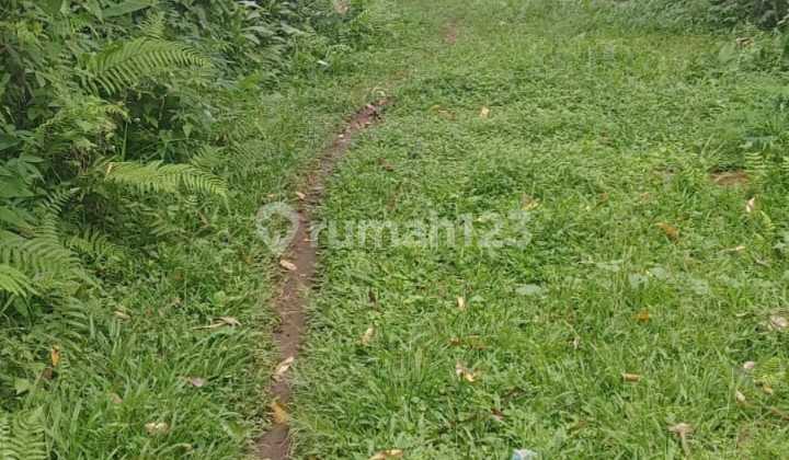 Dijual Tanah Dekat Jatiluwih, Soka Tabanan Luas