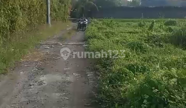 CHEAP LAND IN UBUD SUITABLE FOR VILLA COMPLEX CHEAP LAND IN UBUD SUITABLE FOR VILLA COMPLEX