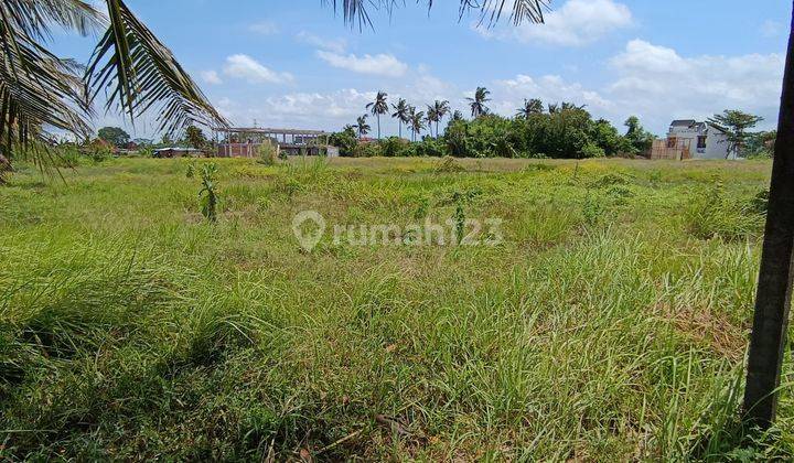 TANAH SEWA VIEW SAWAH PINGGIR JALAN COCOK VILLA DAN RESTORAN 1