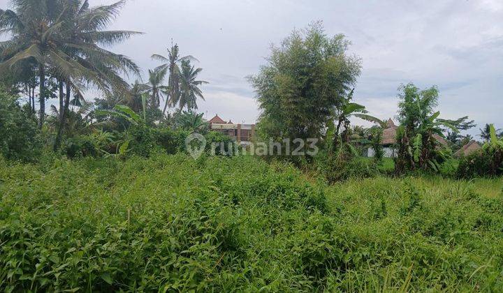 Tanah View Sawah Gunung Dekat Central Ubud Cocok Vila Rental 2