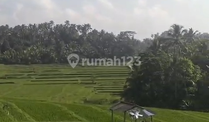 Tanah Murah View Keren Untuk Vila Pribadi Sangat Tenang Tanah Murah View Keren Untuk Vila Pribadi Sangat Tenang