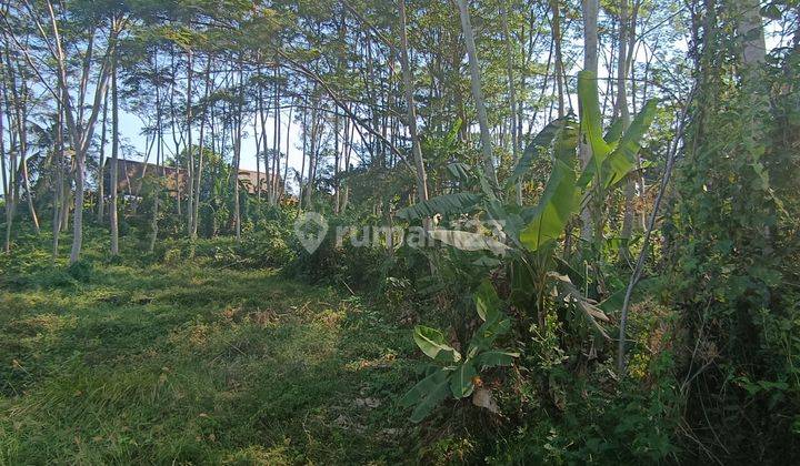 tanah Zona Kuning View Hutan Sungai Keren Cocok VILLA Rental 1