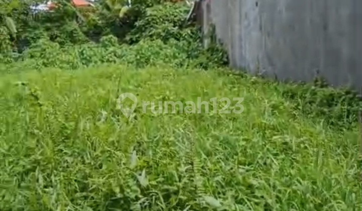 Land Lease for Cafe Restaurant Villa Cheap Price Rice Field View