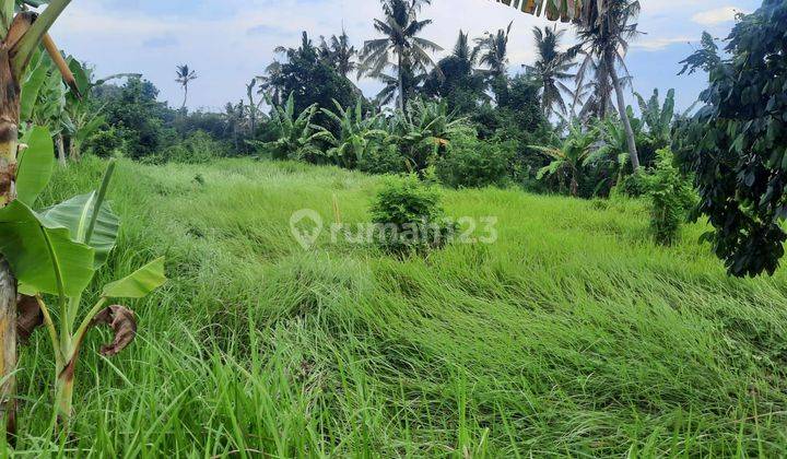 In Ubud Land for Rent Nature View Car Access 2